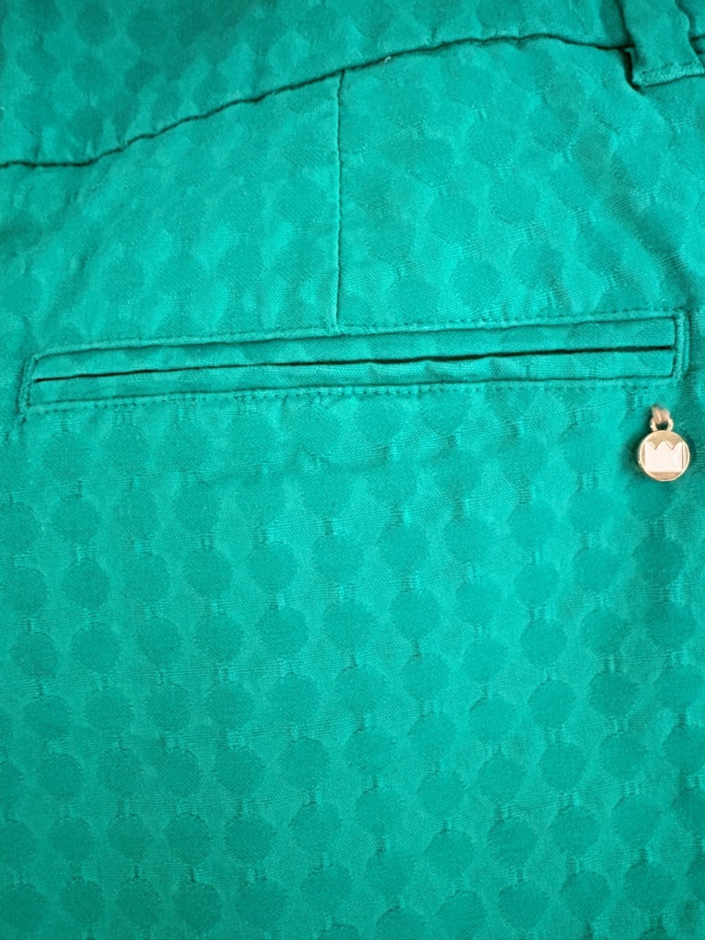 Green Scalloped Hem Shorts, Size 10P - Picture 9 of 12